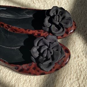 Isola leopard flats